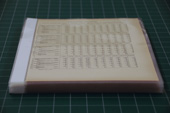 Custom L-sleeves