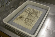 Ellens Farm During Treatment