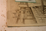 Ellens Farm During Treatment