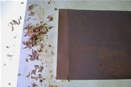 Ellens Farm During Treatment