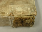 Elucidatio After Treatment
