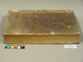 Elucidatio Before Treatment