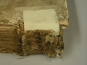 Elucidatio Before Treatment