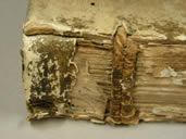 Elucidatio Before Treatment