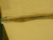Elucidatio During Treatment