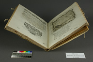 Lagrymas Before Treatment