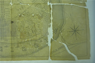 New Orleans During Treatment
