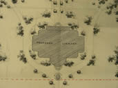 Newberry Grounds Before Treatment
