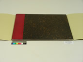 Nova Reperta After Treatment
