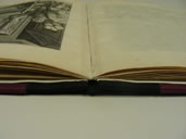 Nova Reperta After Treatment