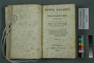 Nuovo Galateo Before Treatment
