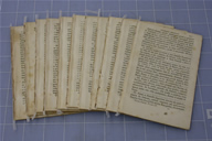 Nuovo Galateo During Treatment