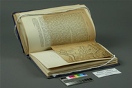 Pepys Before Treatment