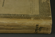 Uruguay After Treatment