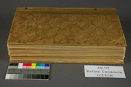 Uruguay Before Treatment