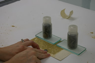 Uruguay During Treatment