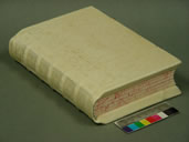 Wooden Board Model