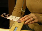 Wooden Boards Model